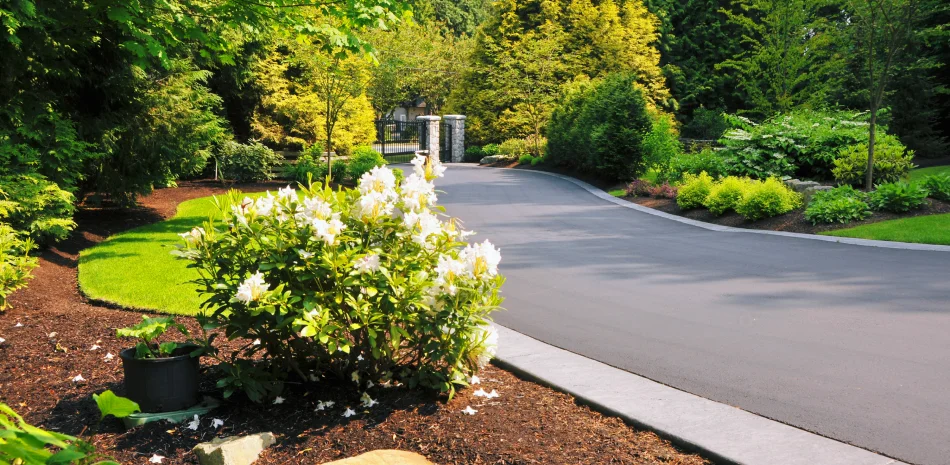Landscape Construction
