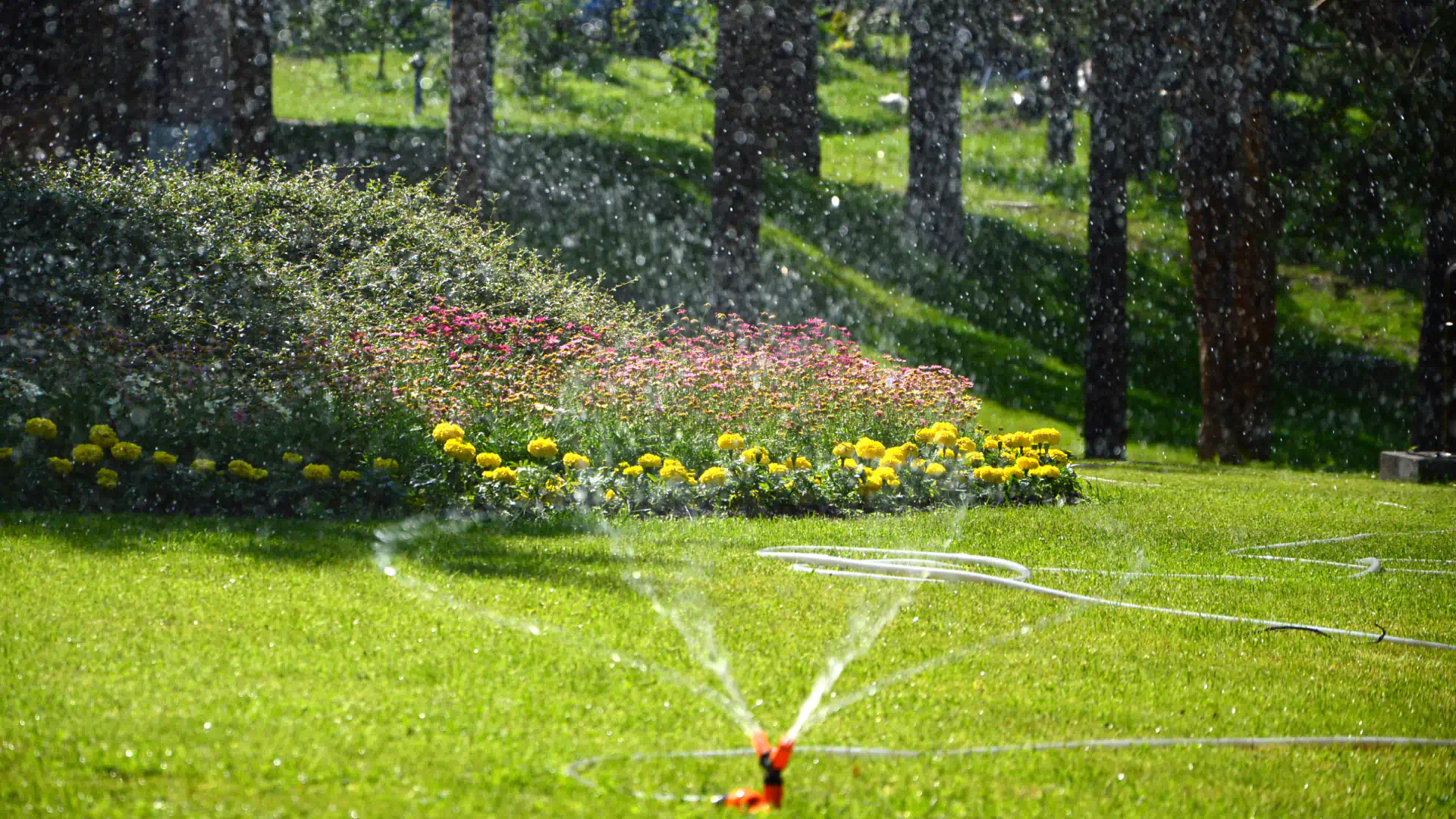 hero sprinkler system winterization service